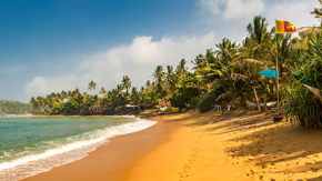 Sri Lanka Mirissa Beach Foto iStock Milan Chudoba.jpg